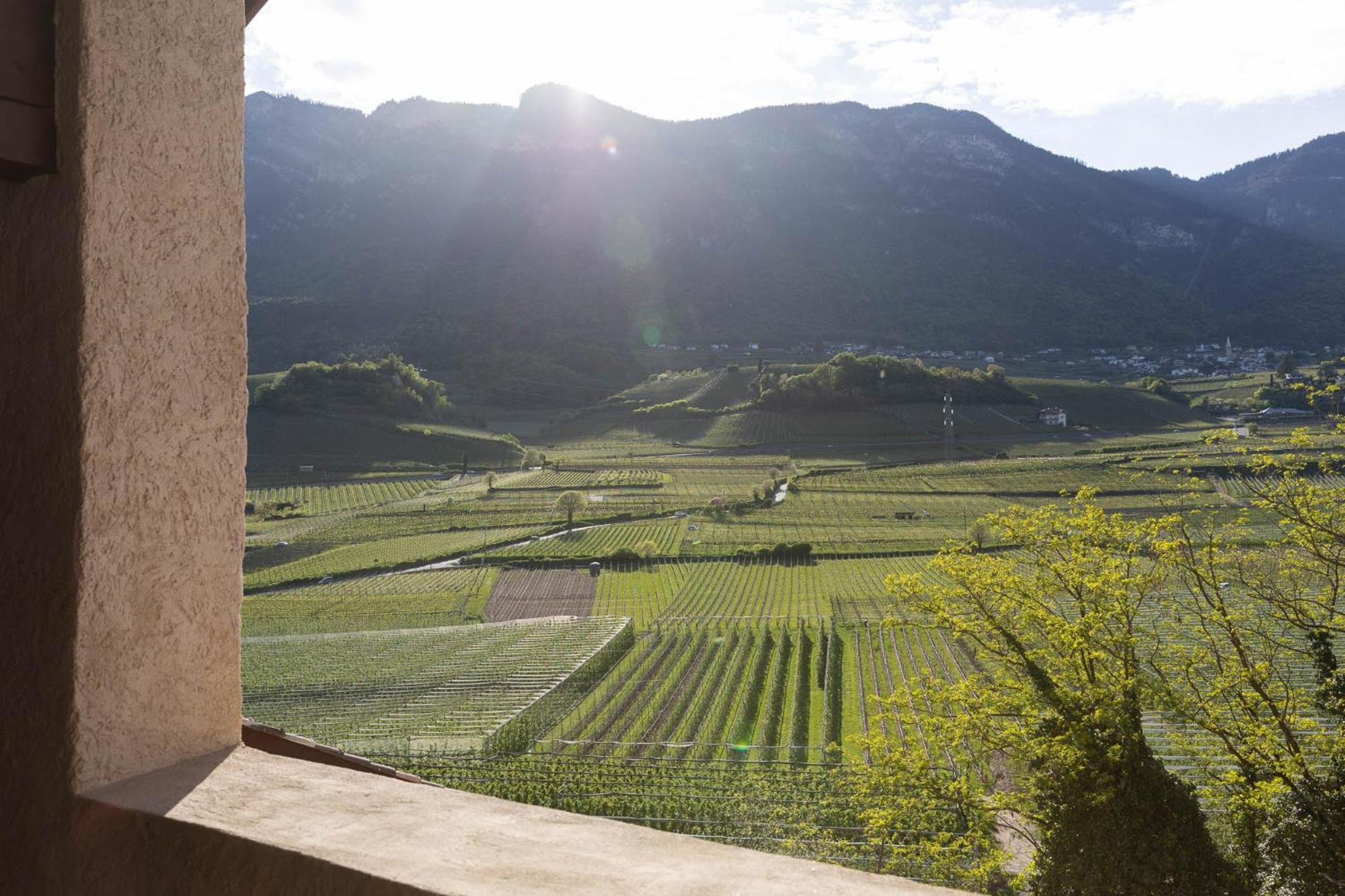 Ansitz Battisti Suites (Adults Only) Caldaro Exterior foto