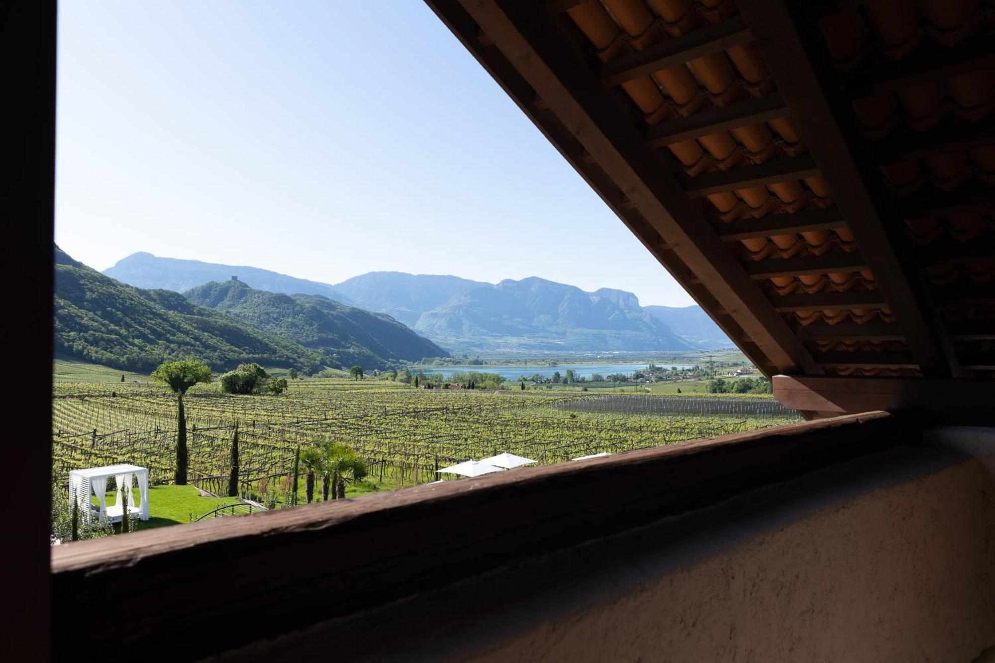 Ansitz Battisti Suites (Adults Only) Caldaro Cameră foto